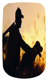 DAROYAL 311 Gone Hunting (Dog)